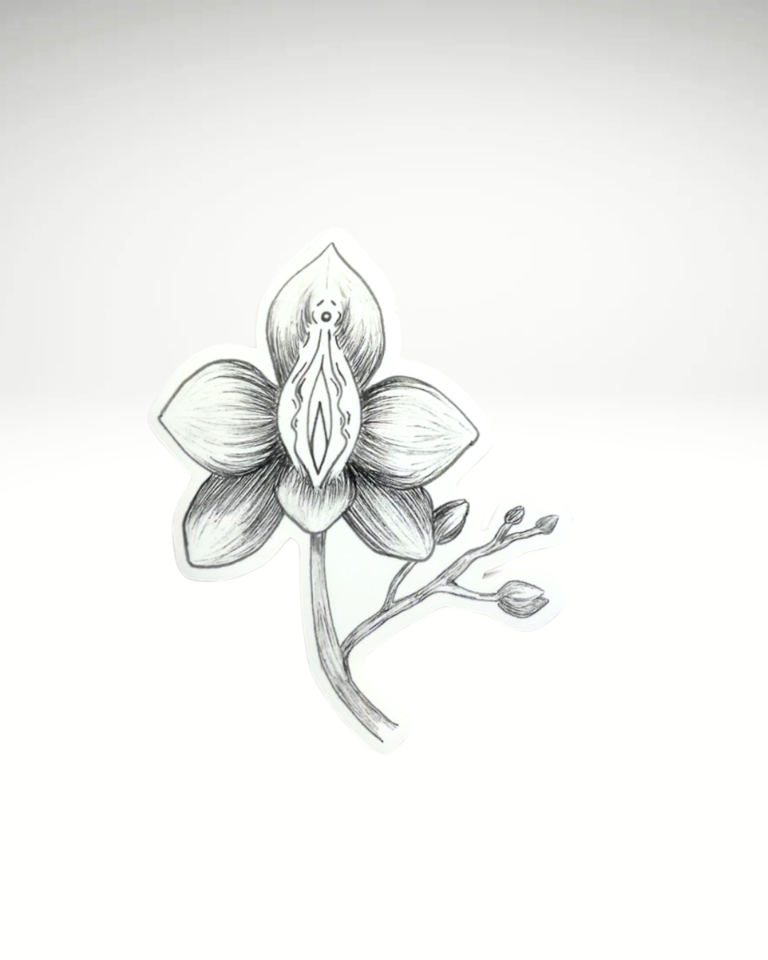 Orchidee | Sticker