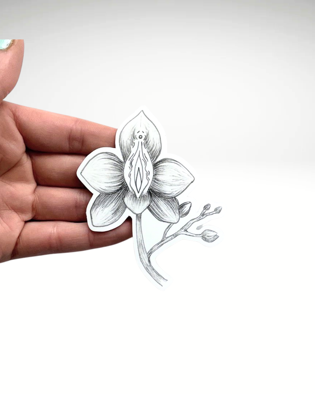 Orchidee | Sticker
