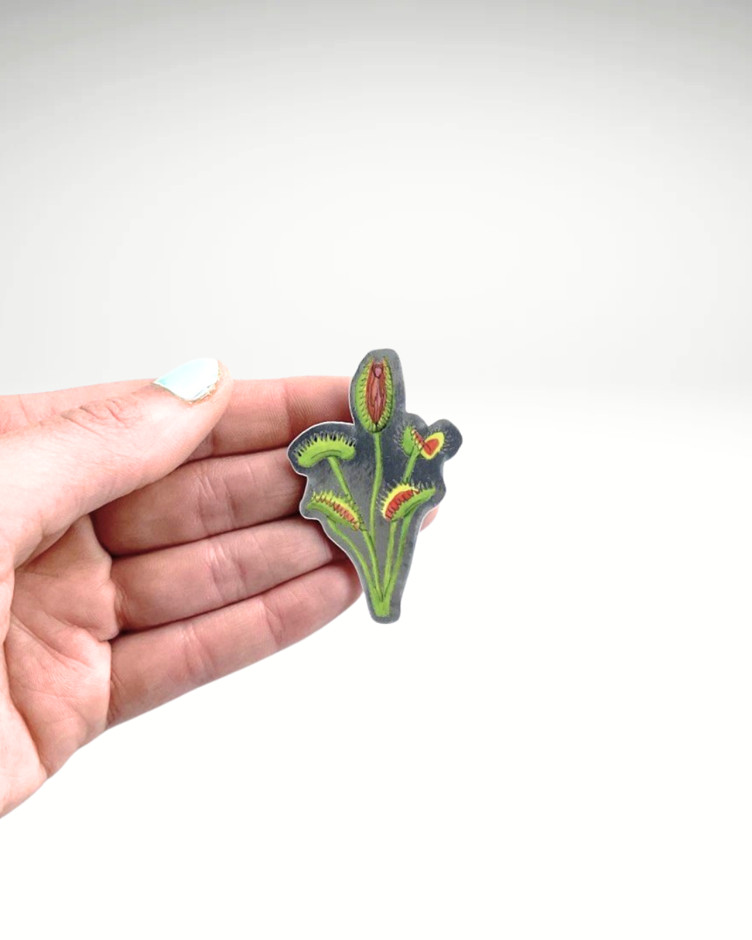 Venusfliegenfalle | Sticker