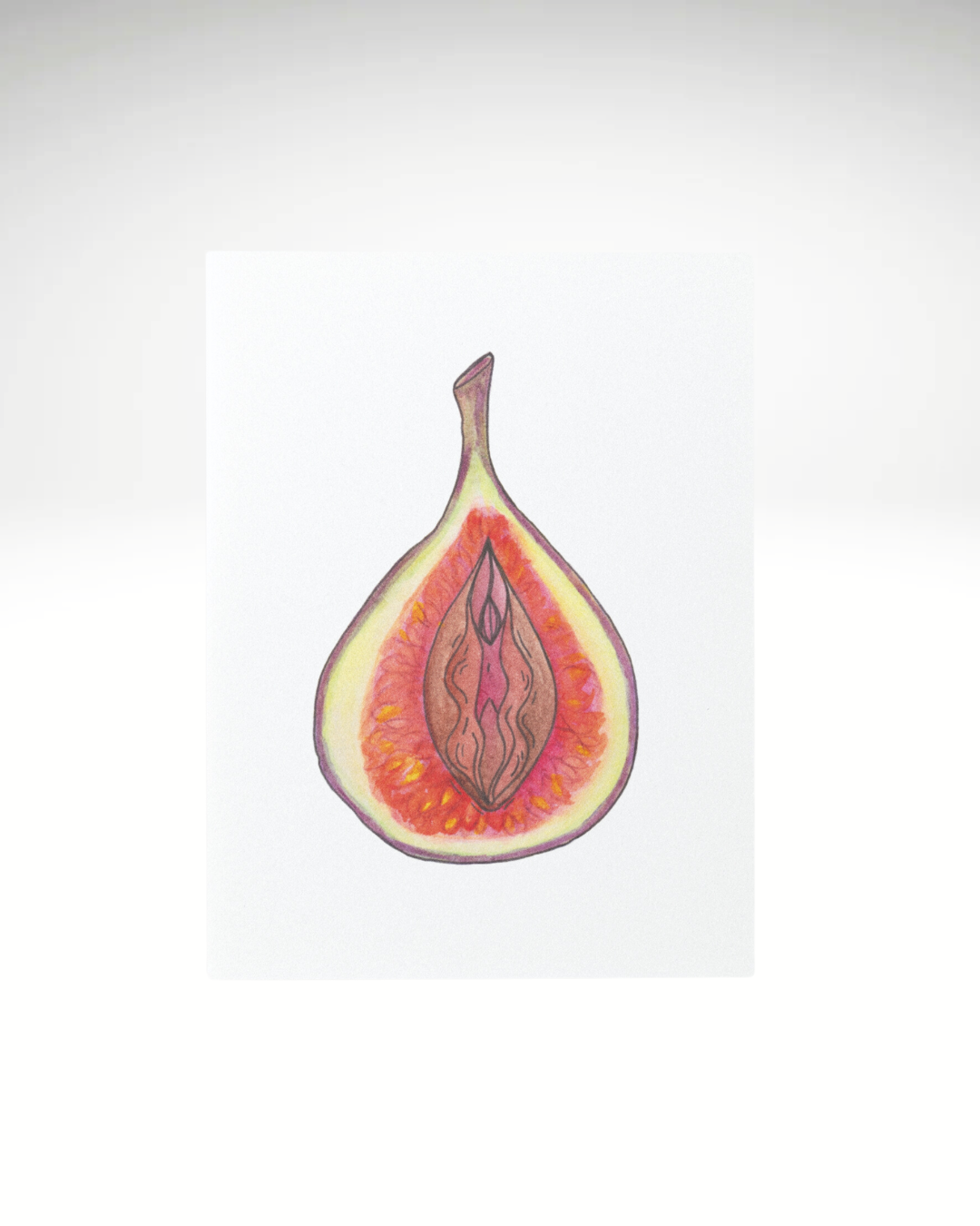 Vulva Obst | Postkarten