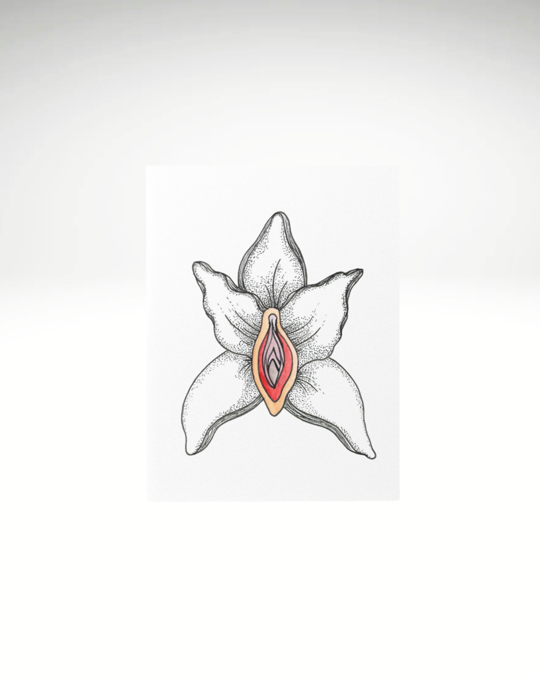 Vulva Pflanze | Postkarten