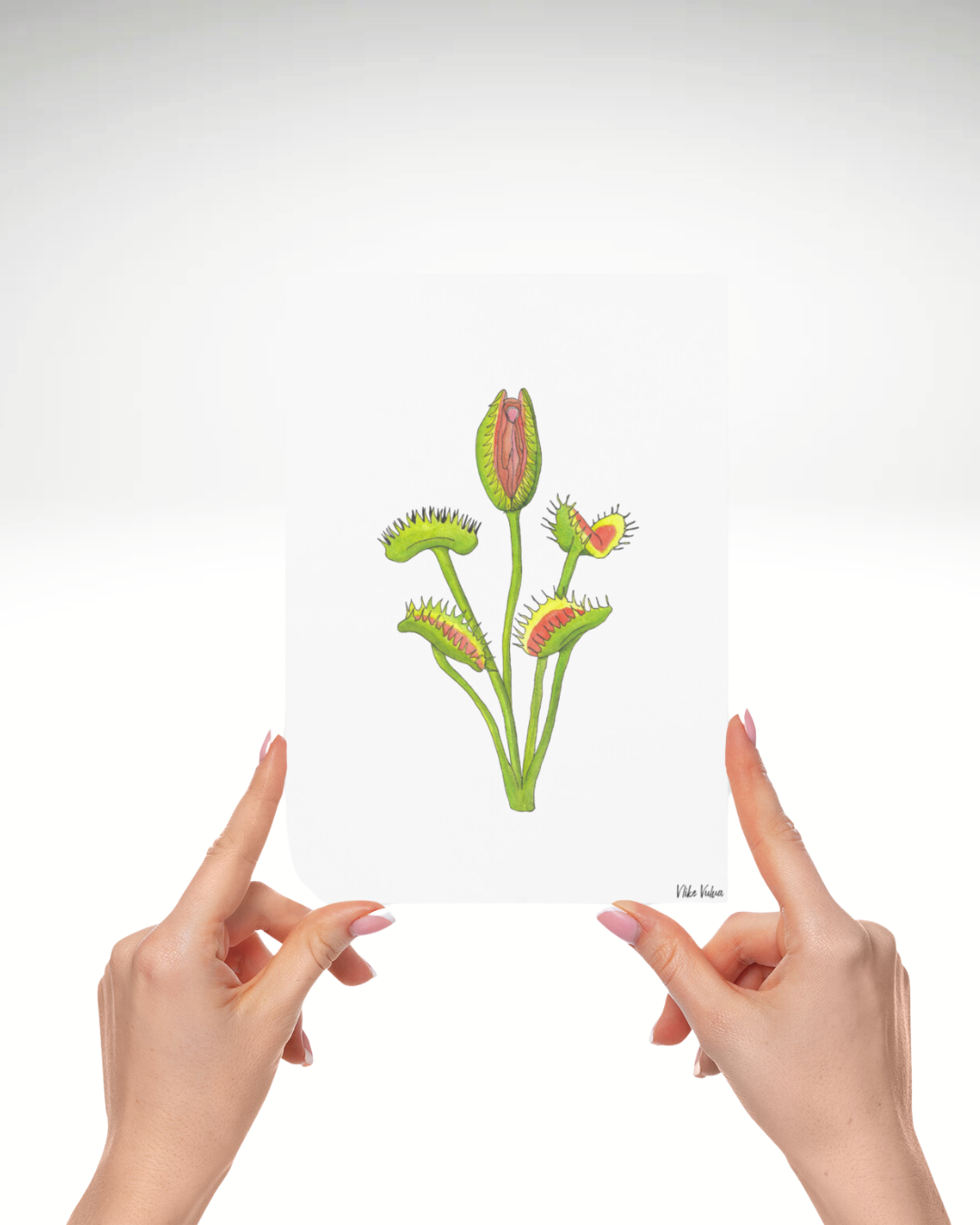 Venusfliegenfalle Vulva | Print