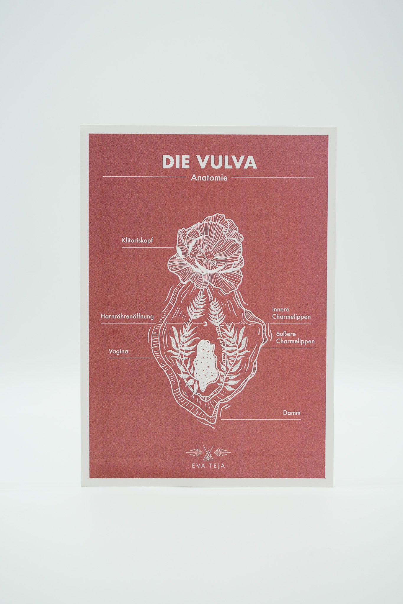 Vulva | Print