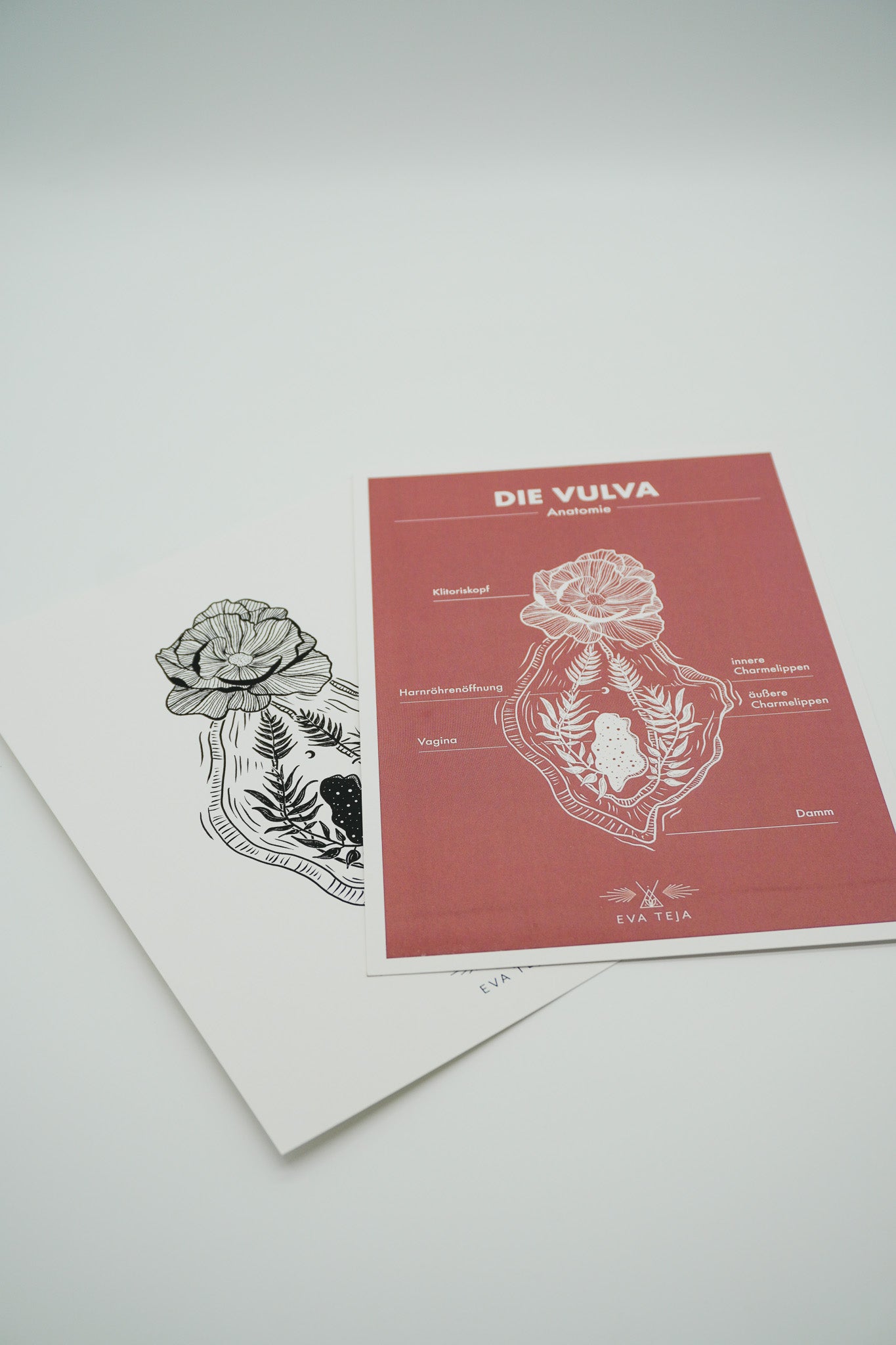 Vulva | Print