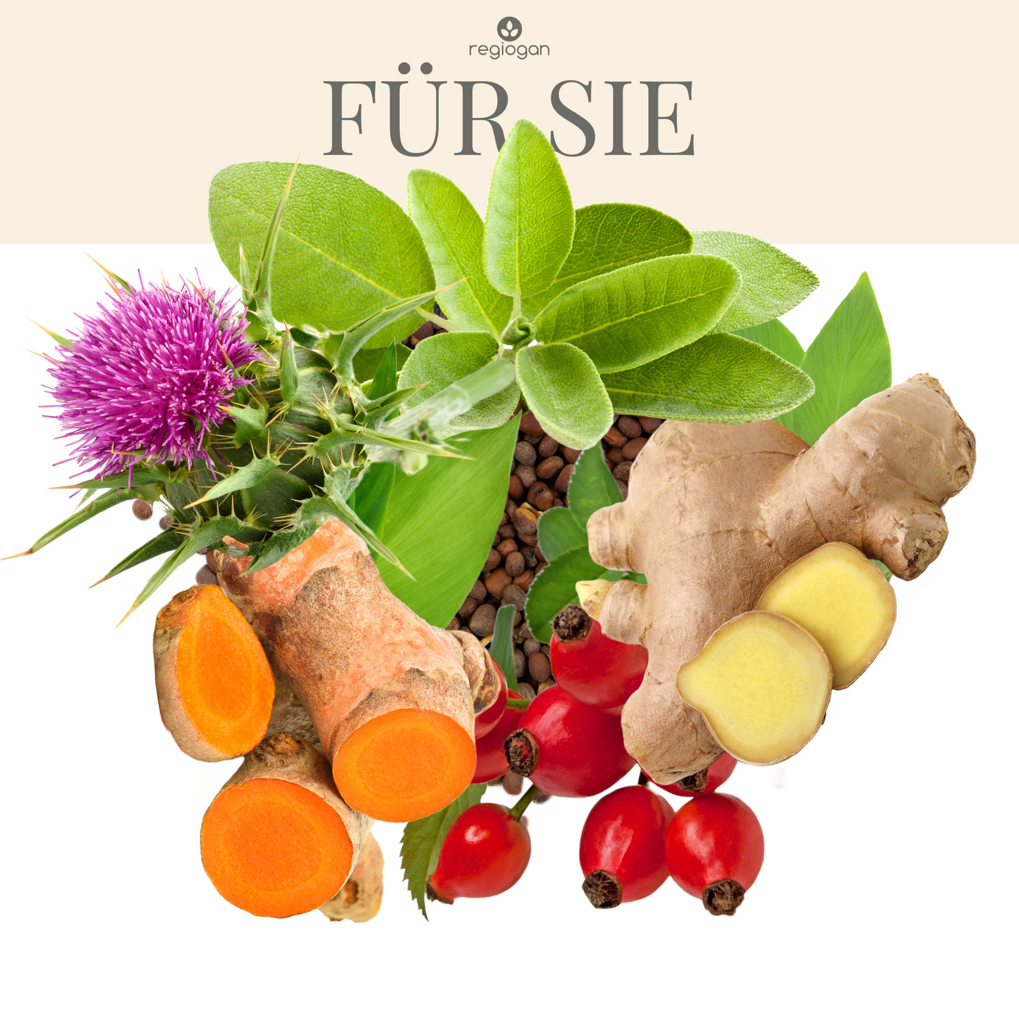 FÜR SIE | Rohes Bio Pflanzen-Ferment