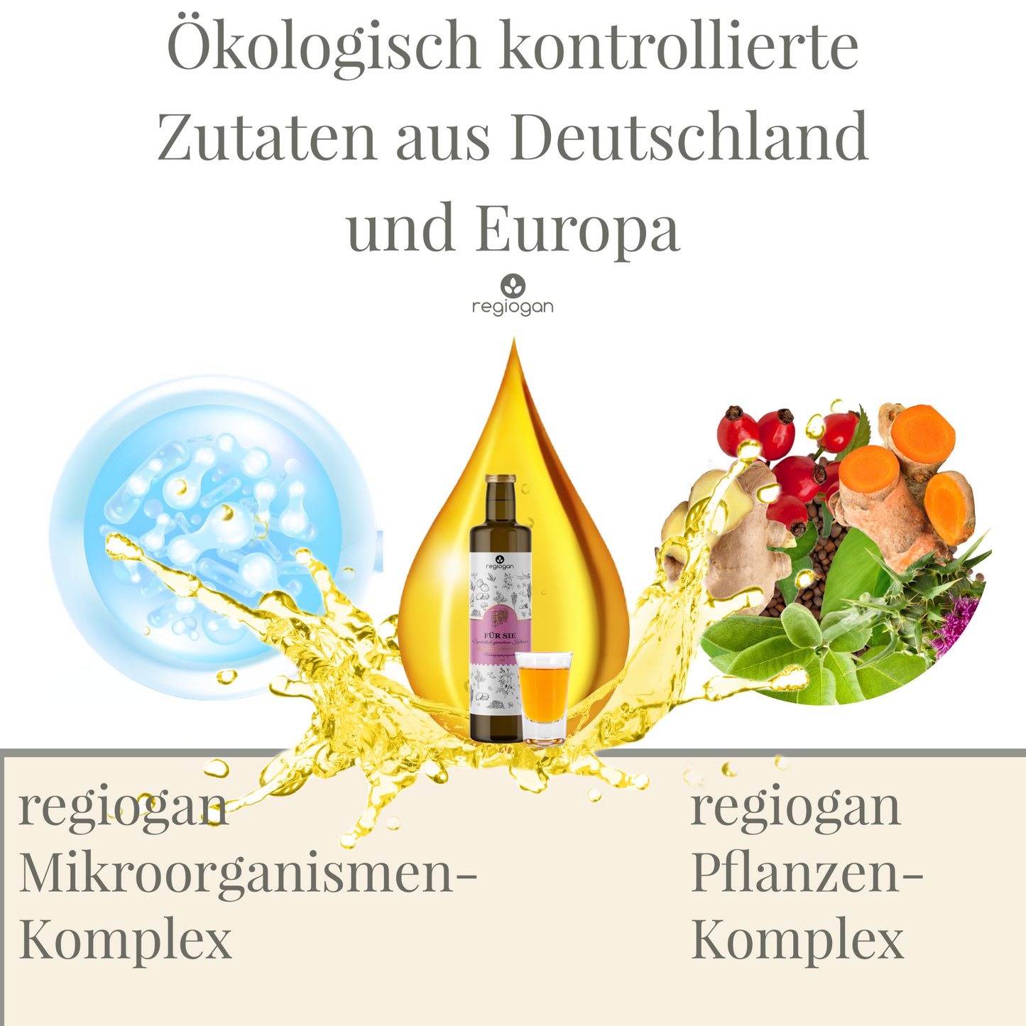 FÜR SIE | Rohes Bio Pflanzen-Ferment