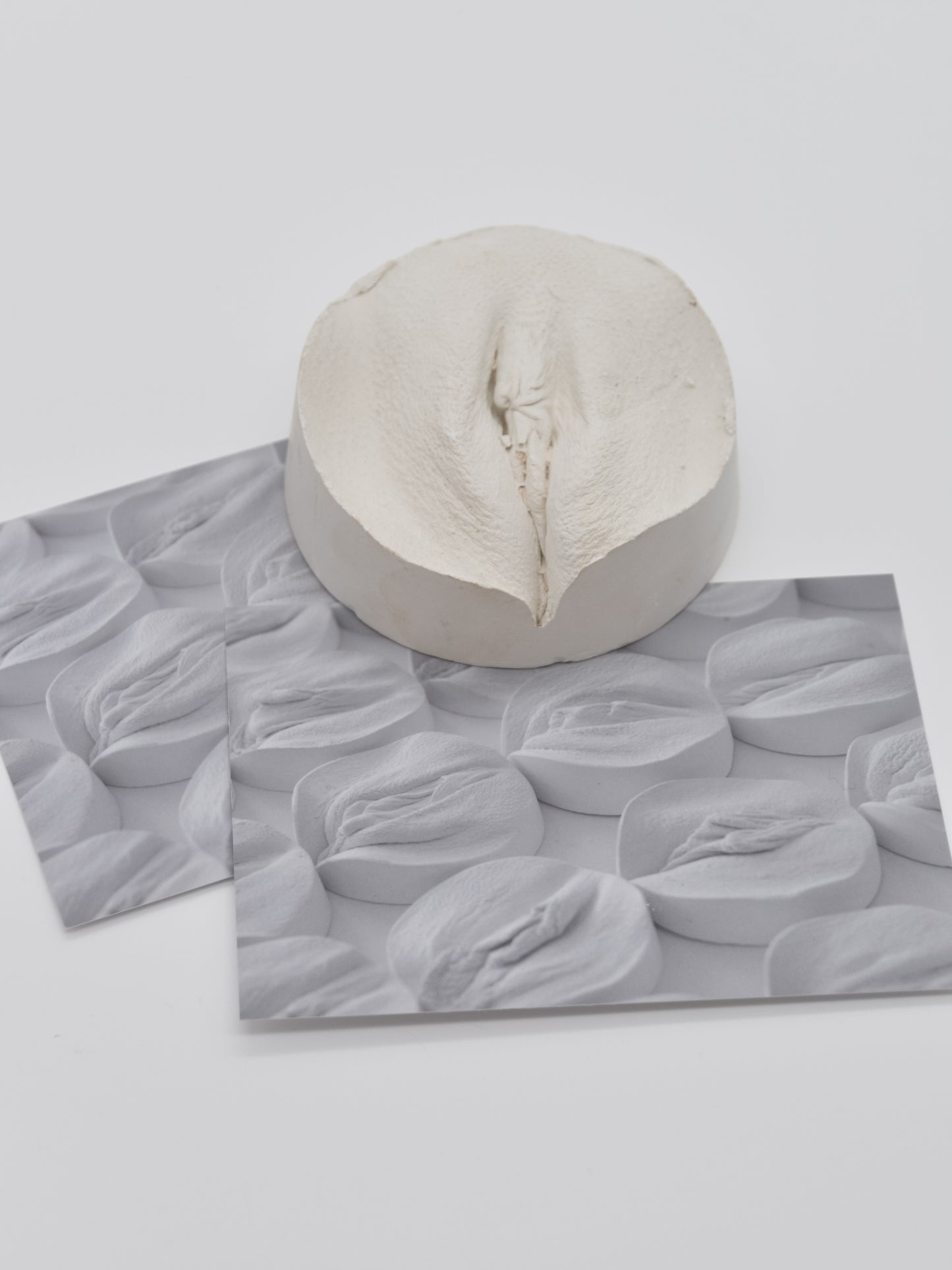 DIY Vulva Abdruck Set - Empovver