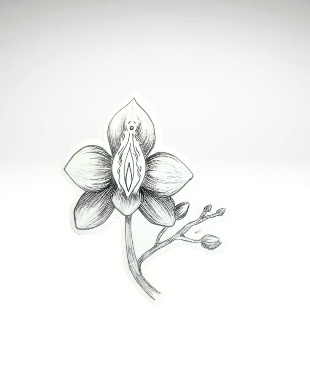 Orchid | Sticker