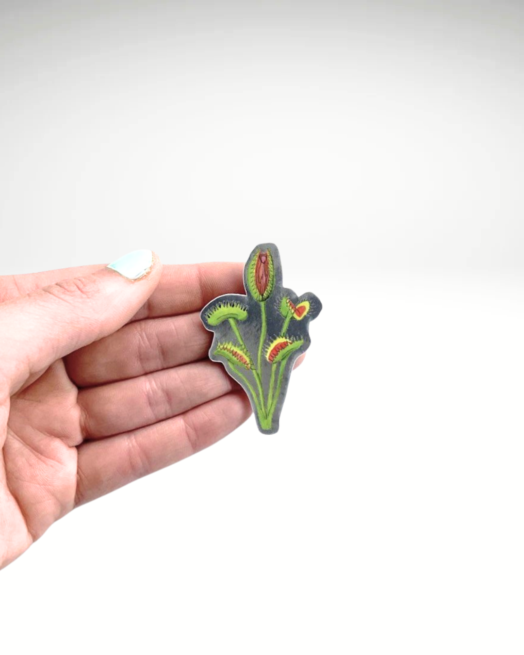 Venus Flytrap | Sticker