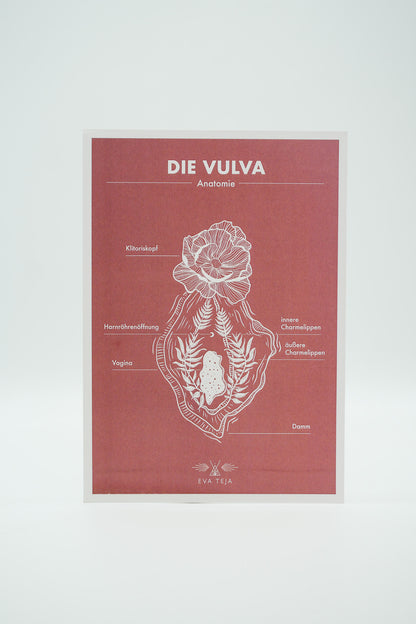 Vulva | Print