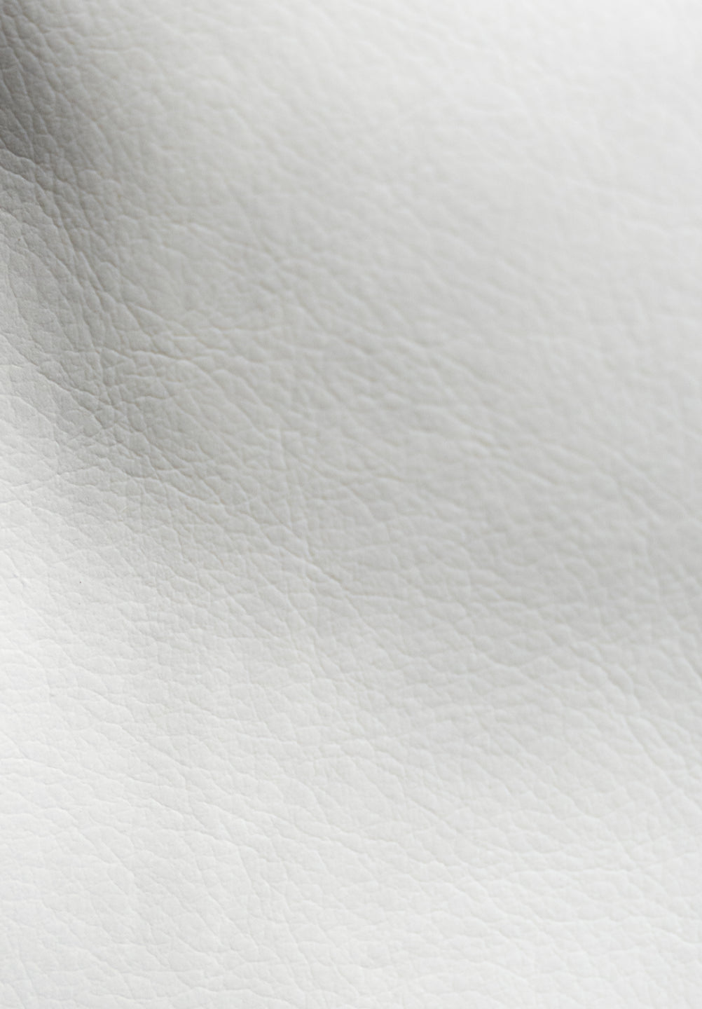 Apple Leather | Boho Bag